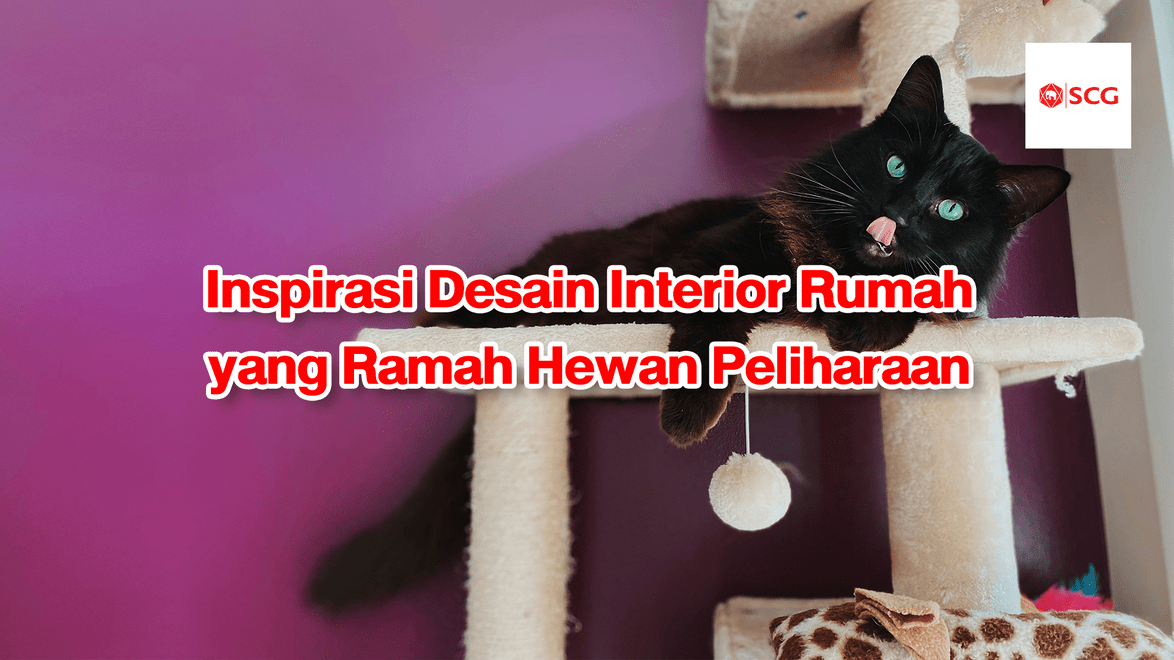 desain interior rumah ramah hewan peliharaan