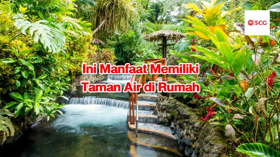 Taman air di rumah