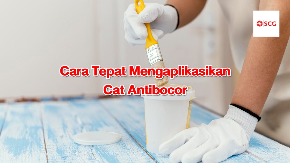 Cat antibocor