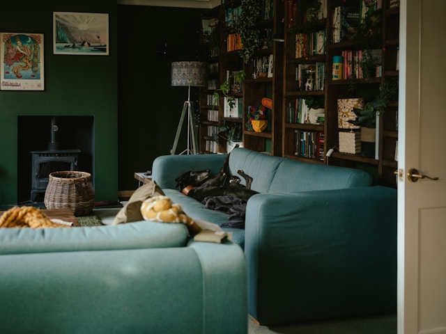 kombinasi warna hijau