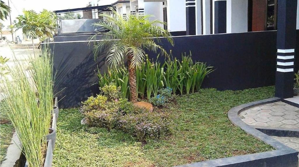 taman depan rumah