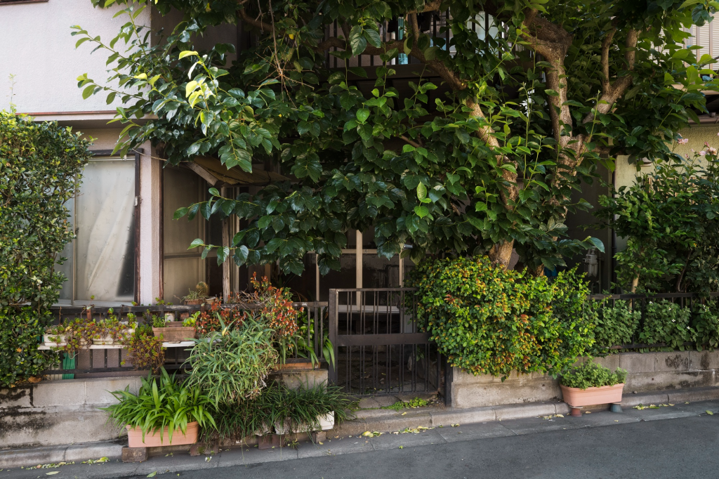 Taman depan rumah bernuansa natural