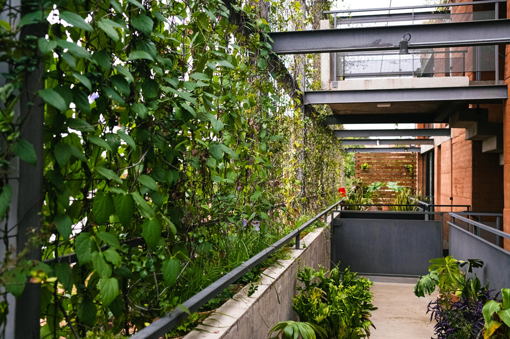 Vertical garden pada dinding rumah berlahan terbatas