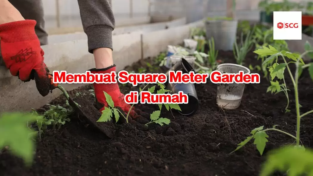 square meter garden