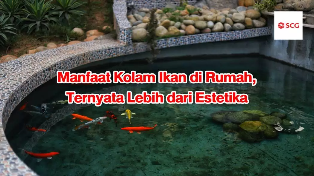 kolam ikan
