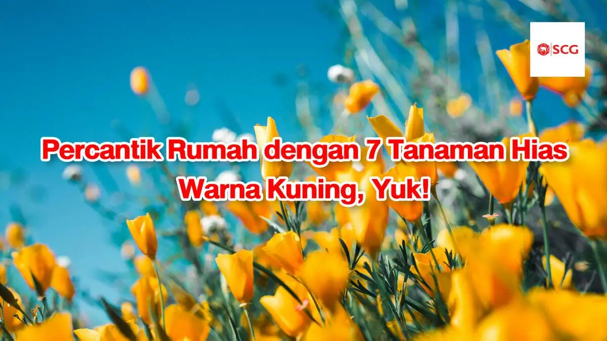 tanaman hias